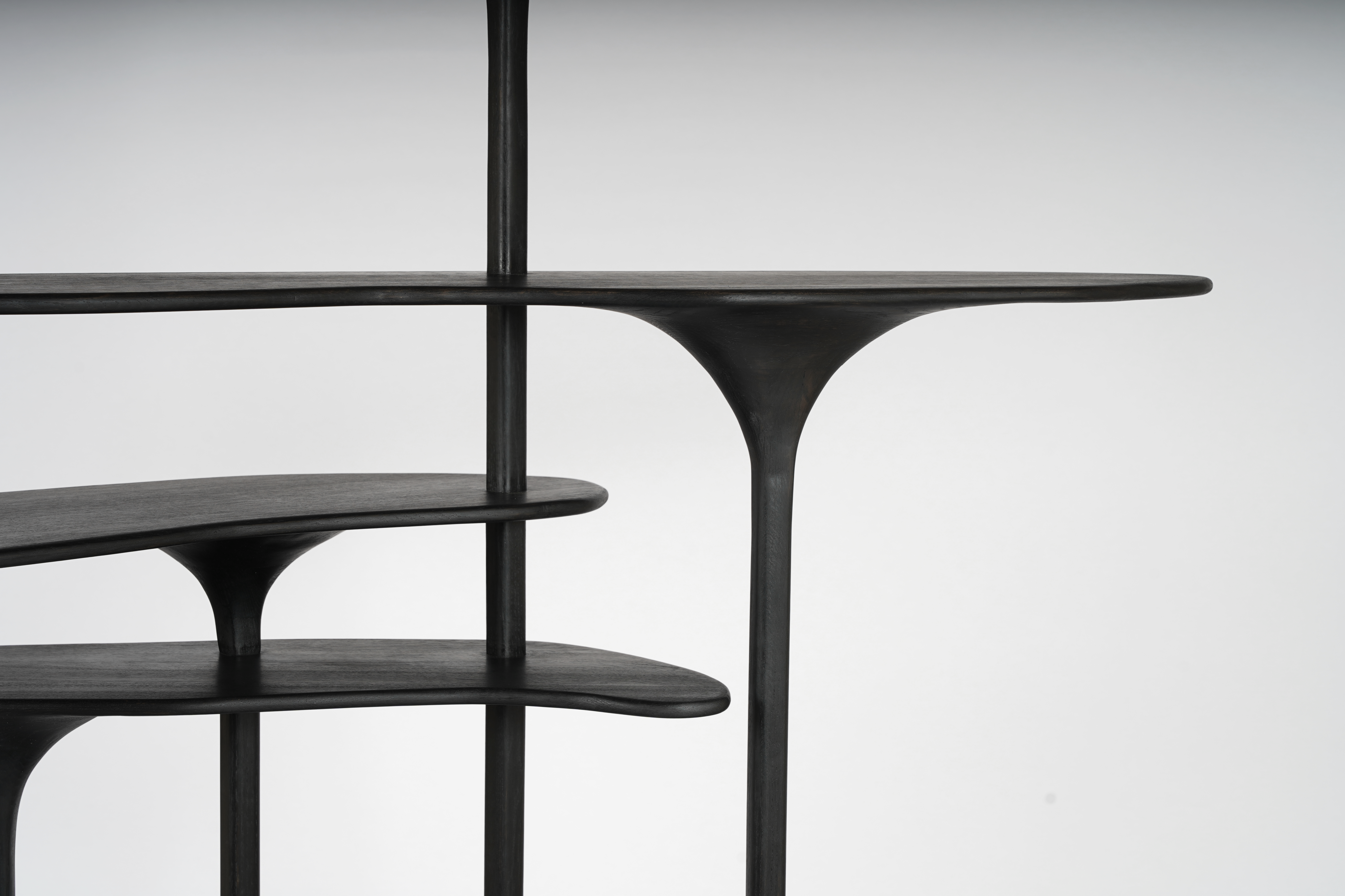 Shelves and Cabinets